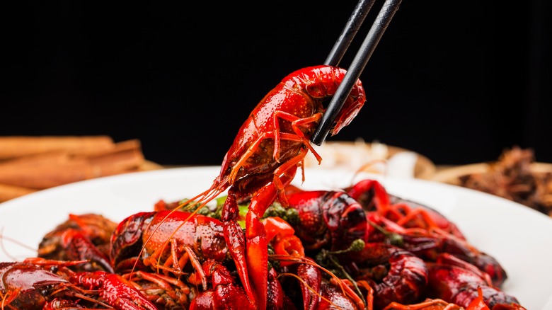 crawfish being scooped with chopsticks