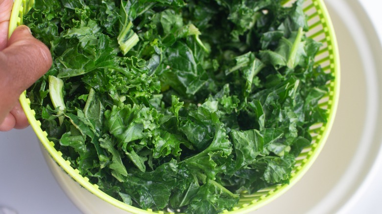 chopped kale in a salad spinner