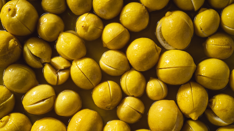 preserved lemons bathing in brine