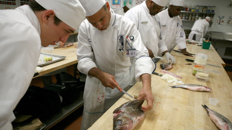 Le Cordon Bleu students cutting fish