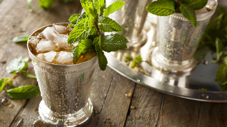 Mint julep cocktail