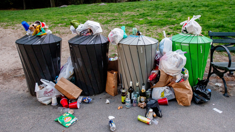 Overflowing garbage cans in park