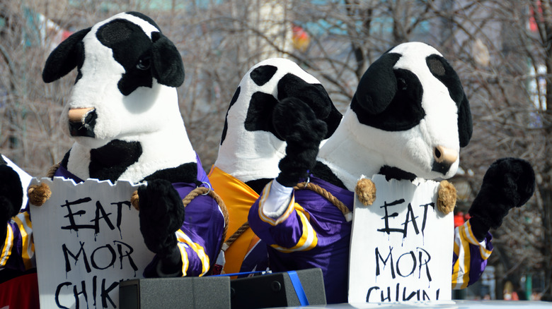 Chick-fil-A cows holding signs