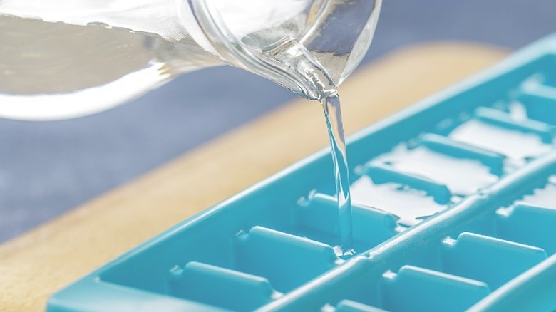 Pouring water in a tray meant for ice cubes