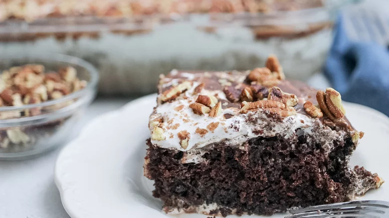 Chocolate cake slice with frosting and pecans