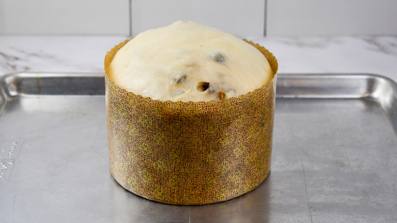 panettone dough in paper mold