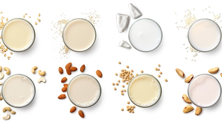 various glasses of dairy-free milk