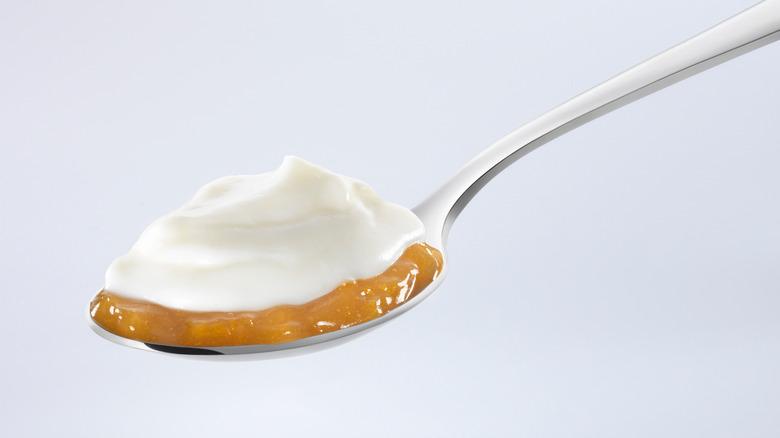 A spoonful of yogurt and jam