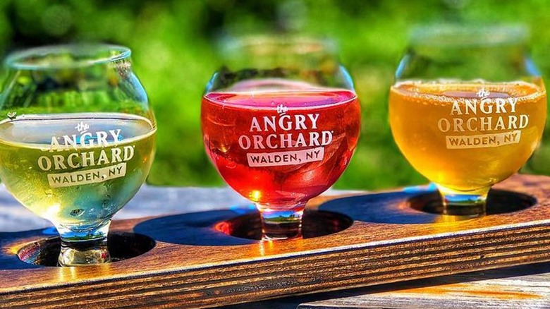 cider flight