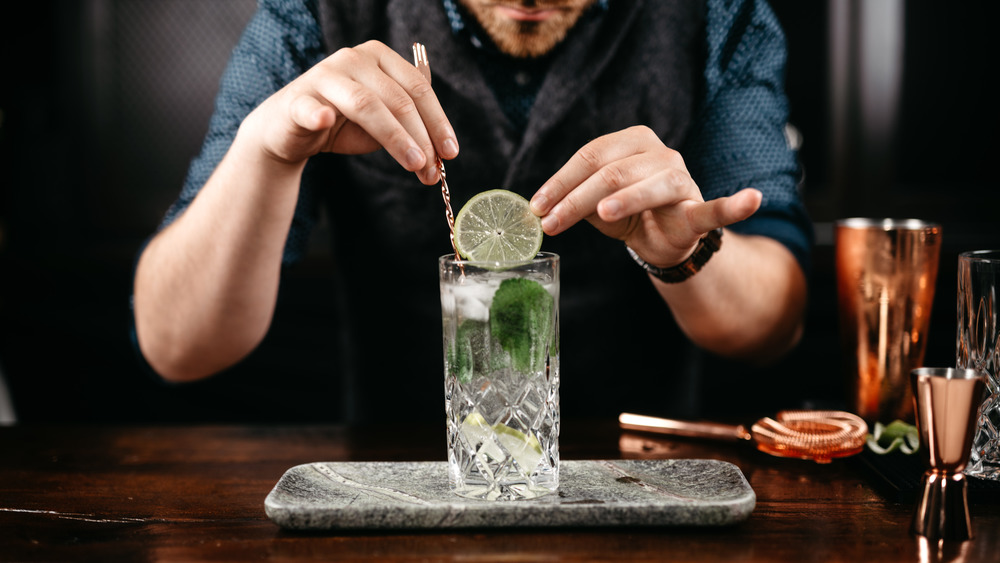 Crafting a Gin and Tonic