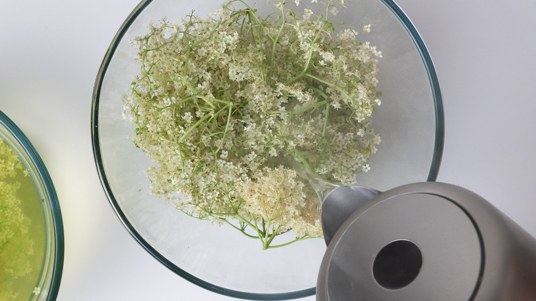 pouring water over elderflower