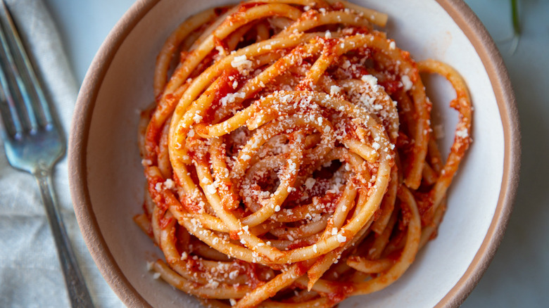 bucatini all'amatriciana on plate