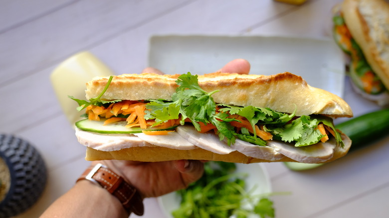 a banh mi sandwich in hand