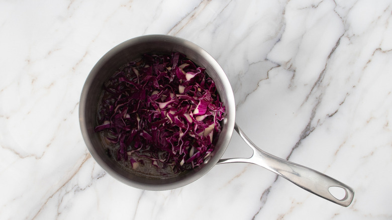 red cabbage in metal pot