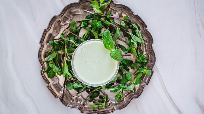 cocktail surrounded by mint sprigs