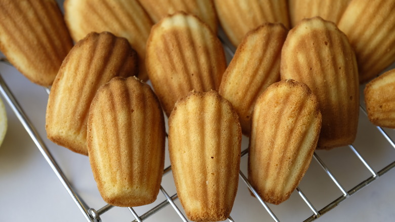 Madeleines on cooling rack