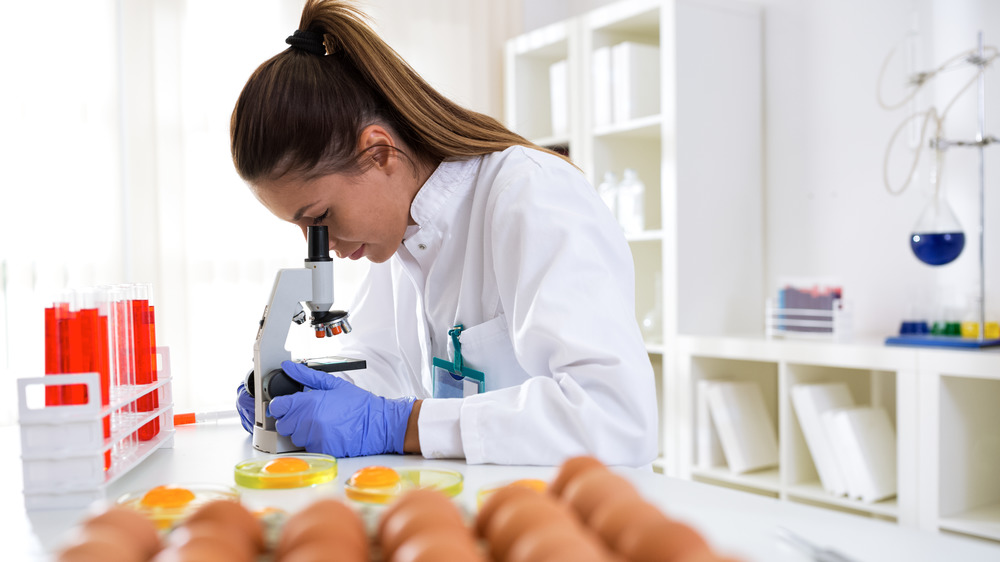 A scientist looks at eggs under a microscope