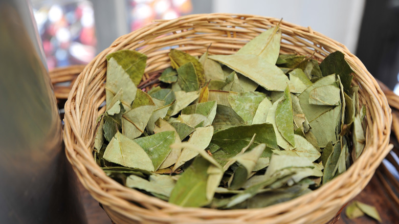 Coca leaves in a basket