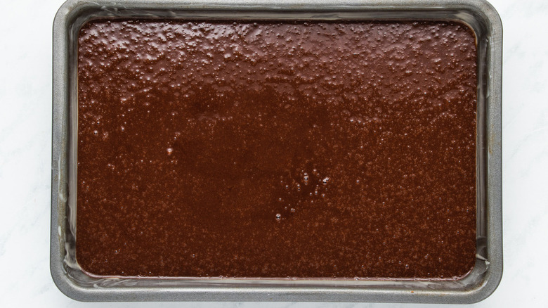 unbaked chocolate cake in pan