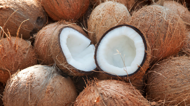 Open coconut on a pile of coconuts