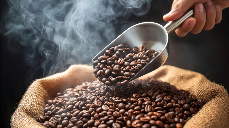 person scooping coffee beans from a canvas sack