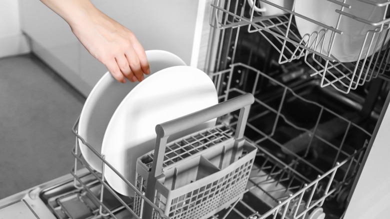 person loading the dishwasher