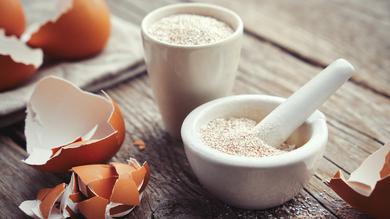 Eggshells with eggshell powder in a mortar and pestle