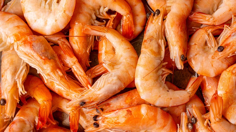 whole cooked shrimp close up