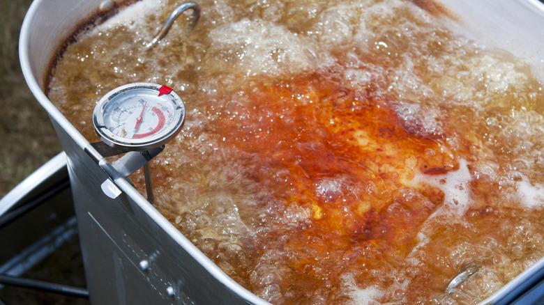 deep fryer with thermometer