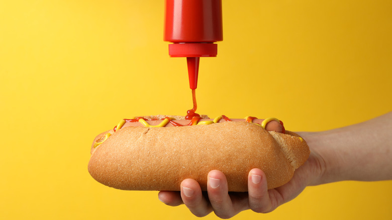 Hot dog with ketchup