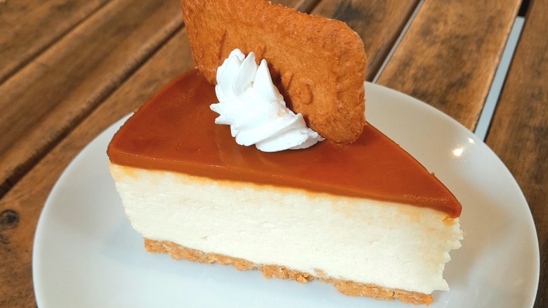 slice of cookie butter cheesecake on plate