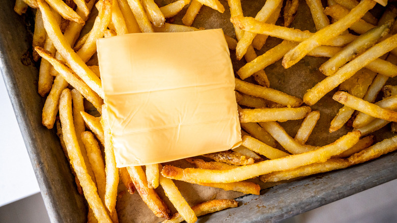 fries with cheese