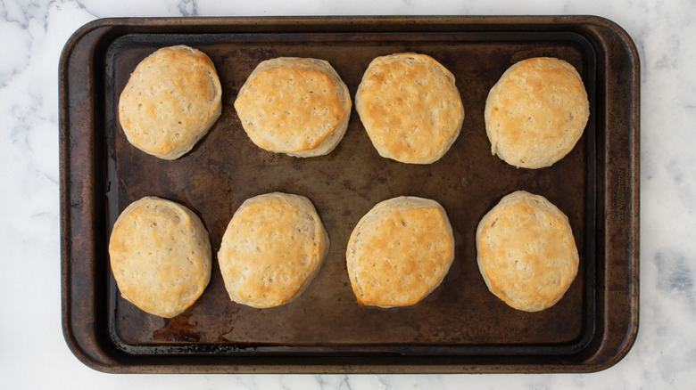 golden baked biscuits on tray