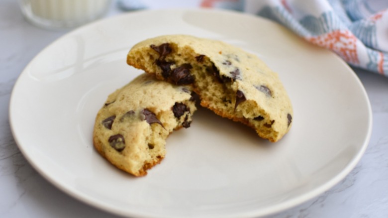 chocolate chip muffie on a small plate