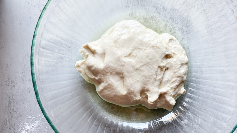 dough resting in bowl