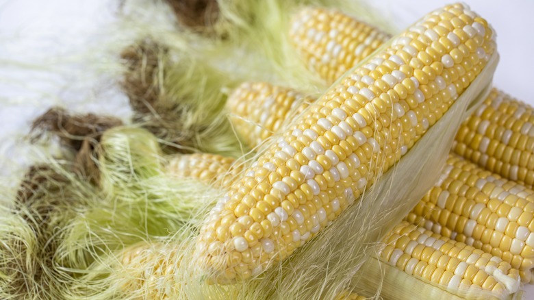 Corn cobs covered in silk