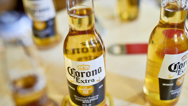 Corona extra beer bottles