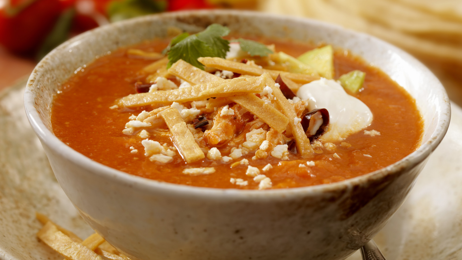 Costco's Chicken Tortilla Soup Gets Recalled For Not Really Being ...