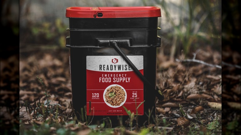 ReadyWise emergency food kit outside