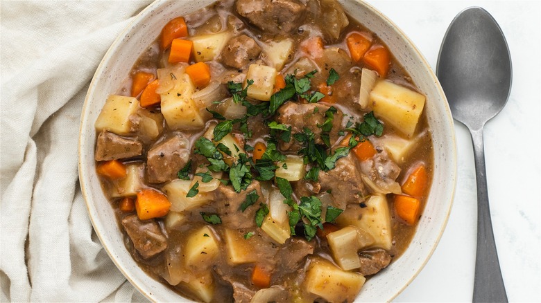 apple cider beef stew spoon