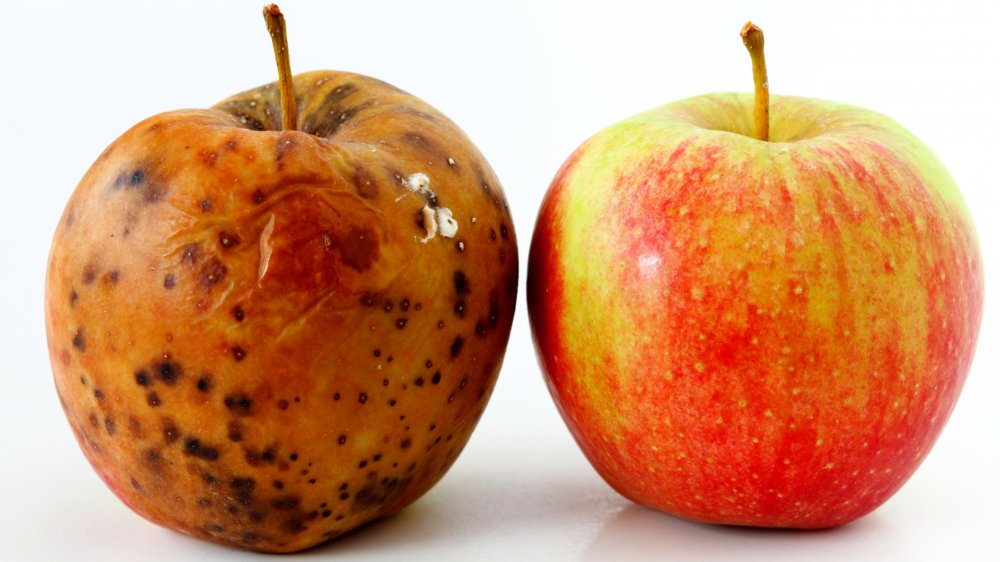 bruised apple food waste
