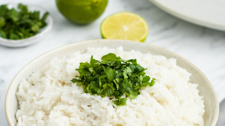 rice on plate