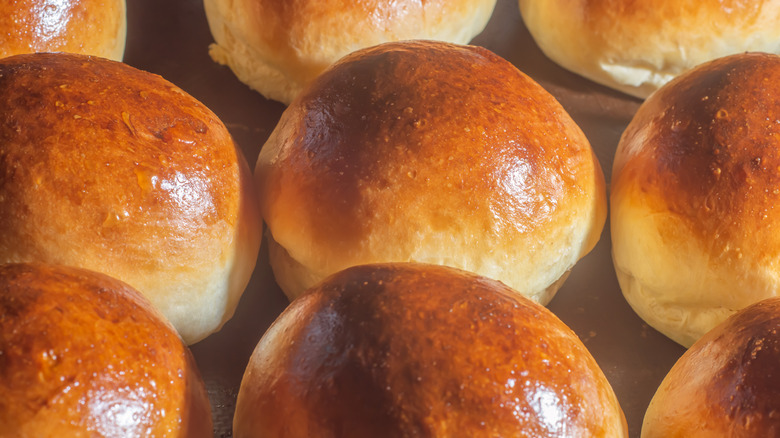 toasted brioche hamburger buns