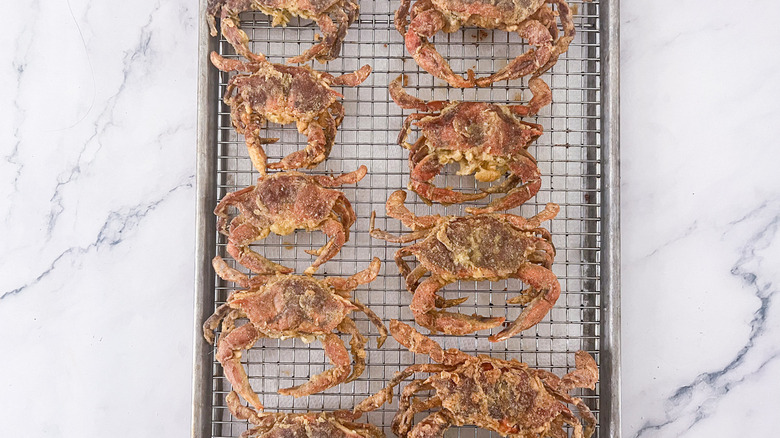 soft shell crabs on rack