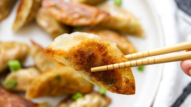 closeup potsticker between chopsticks