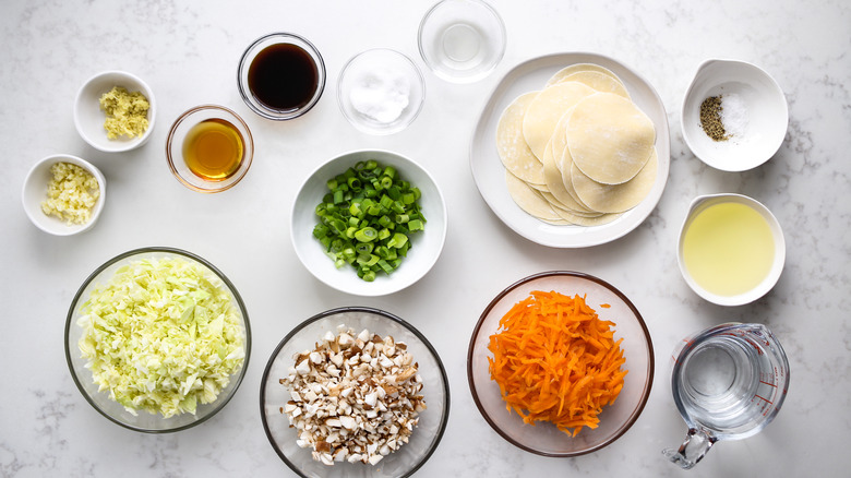 crispy vegetable potsticker ingredients