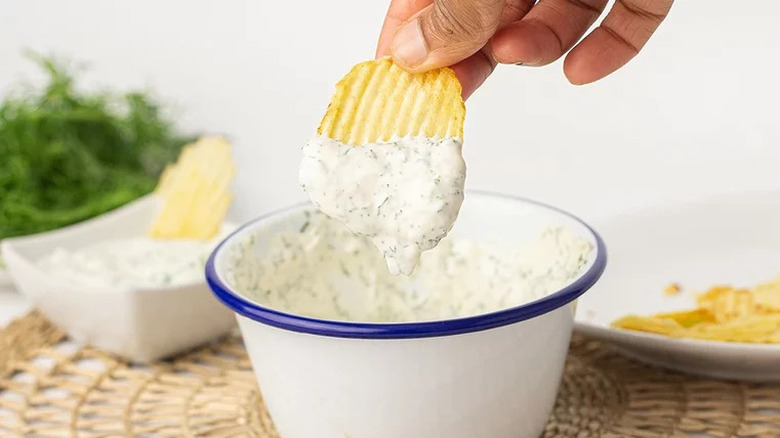 potato chip dipped into dill onion dip