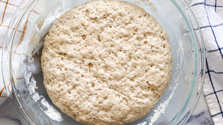 bubbling dough in bowl