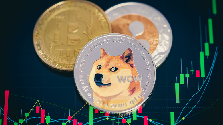 Dogecoin concept