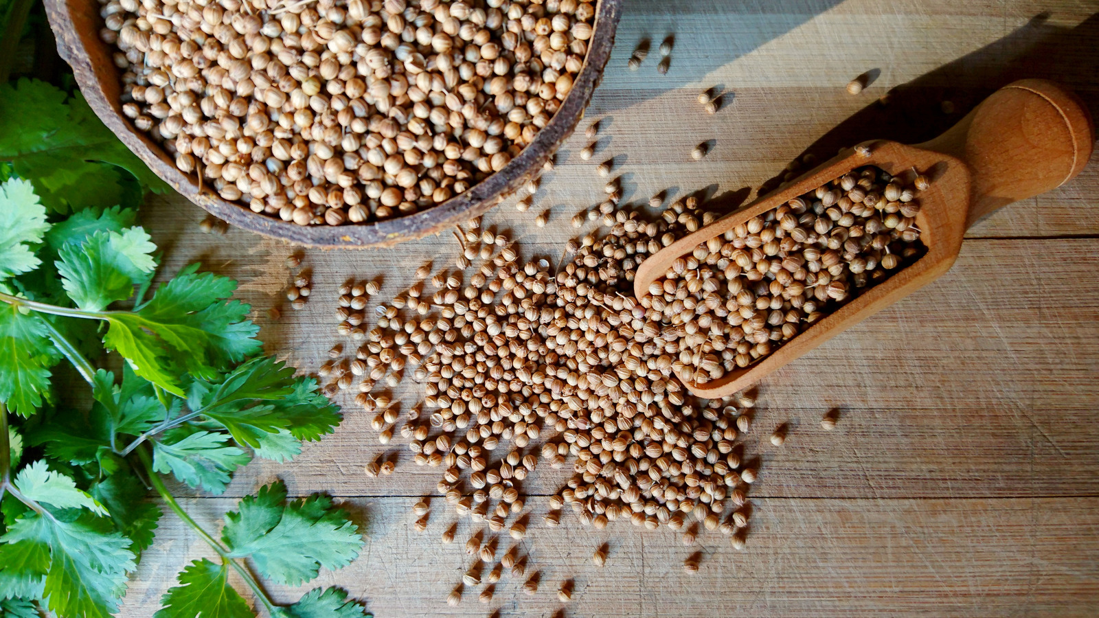 Delicious Ways To Use Coriander Seeds In Your Cooking